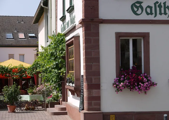 Adler 게스트하우스 Buergstadt