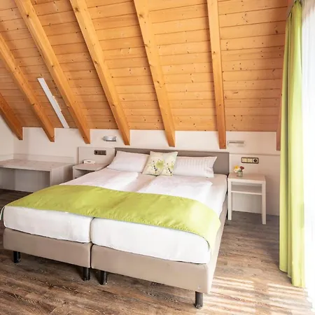Adler Landhotel 4* Buergstadt