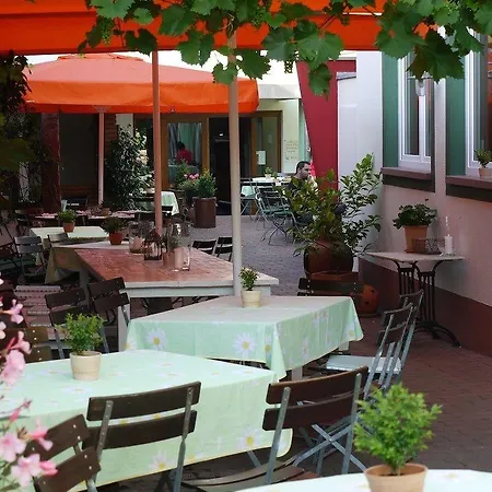 Guest house Adler Landhotel 4*