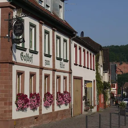 Guest house Adler Landhotel