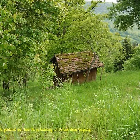 Adler Πανσιόν Buergstadt