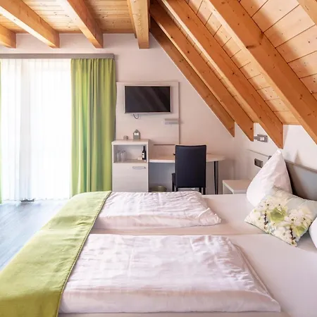 Adler Landhotel 4* Buergstadt