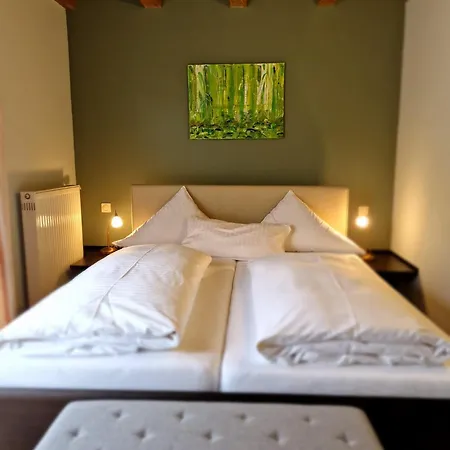 Adler Landhotel Guest house Buergstadt